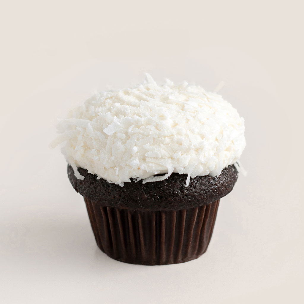 Classic Mini Cupcake Dozen